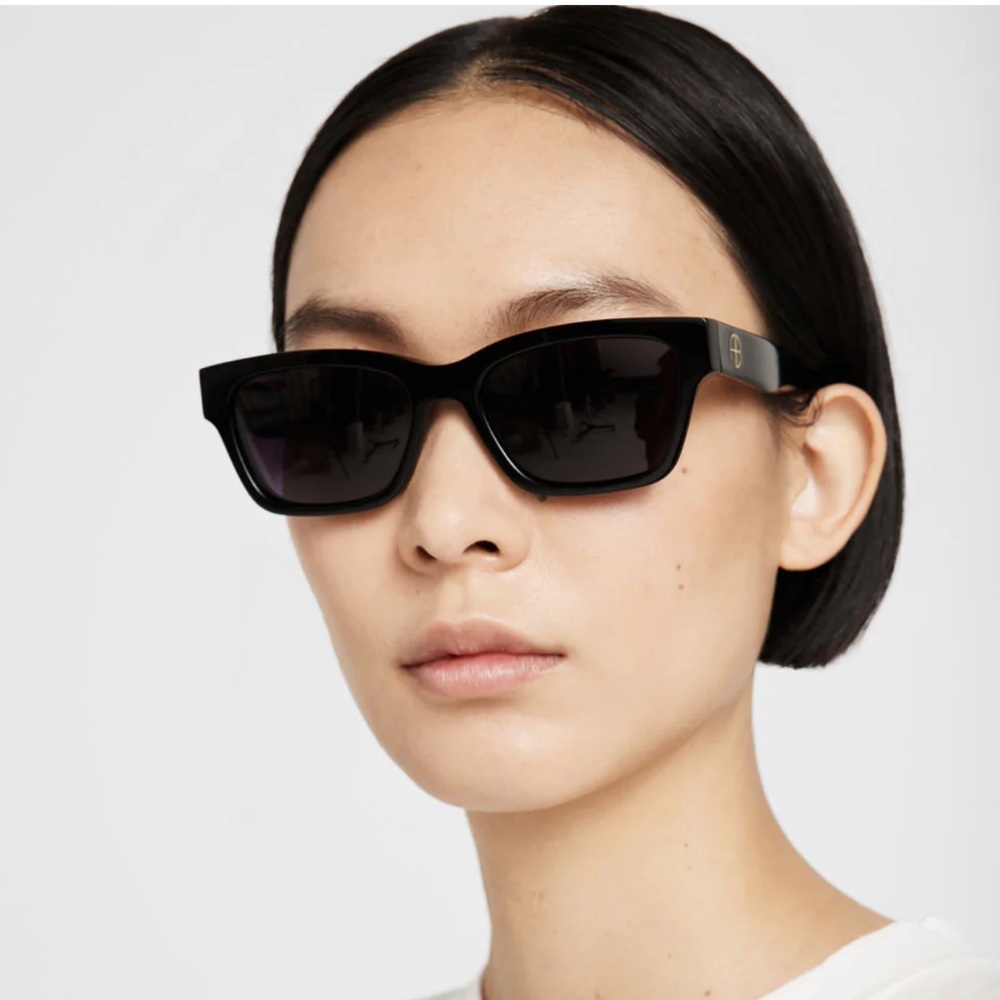 NEW: ANINE BING Daria Sunglasses in black, brand new with packaging and case